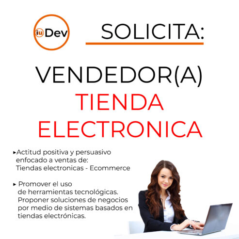 Ejecutivo de Ventas Tiendas Electronicas Ecommerce